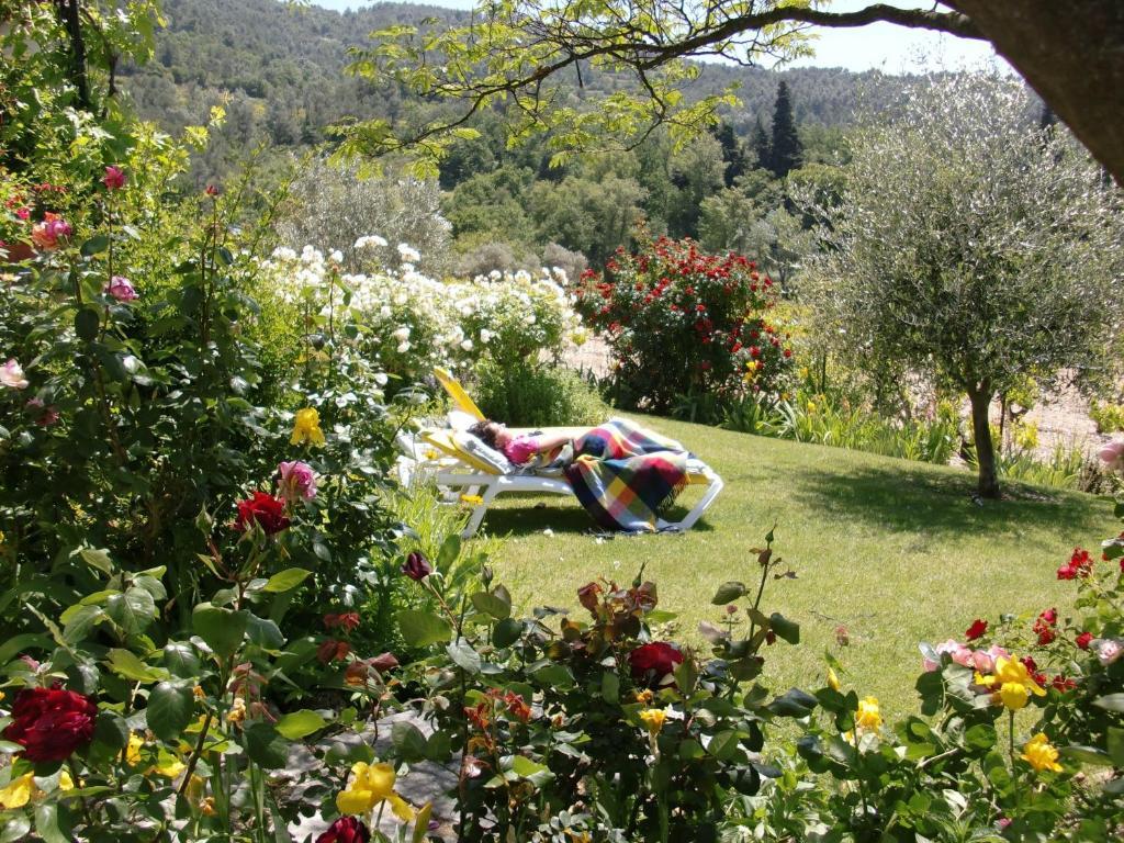 Le Grand Jardin Bed & Breakfast Lafare Exterior photo