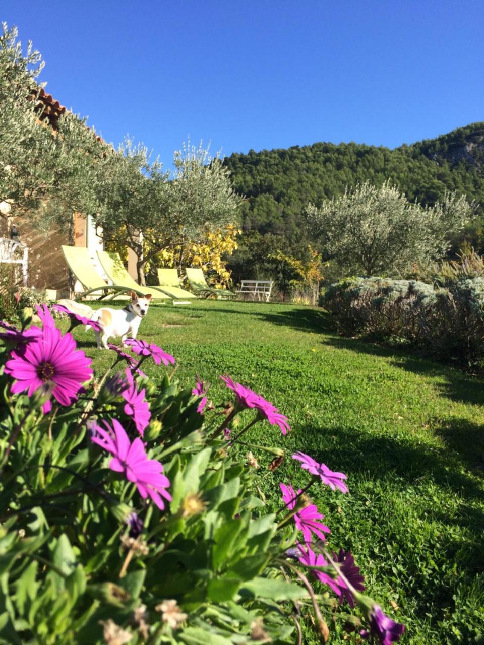 Le Grand Jardin Bed & Breakfast Lafare Exterior photo